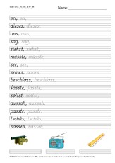 DSS_2S_Bu_s_Nr_06.pdf